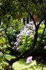 barnaba-fornasetti-garden