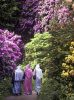 chatsworth-garden